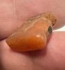 Picture of ANCIENT EGYPT -  BEAUTIFUL  CARNELIAN AMULET OF A HARE . LATE PERIOD. 300 - 100 B.C