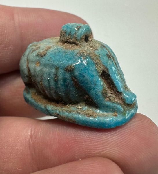 Picture of ANCIENT EGYPT.  BEAUTIFUL COLOR. GRECO - ROMAN - FAIENCE SOW AMULET . 300 B.C - 100 A.D