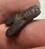 Picture of ANCIENT EGYPT . AMETHYST STONE FLY  AMULET. 1400 - 1200 B.C  NEW KINGDOM