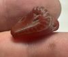Picture of  Ancient Egypt.  LATE PERIOD. 600 - 100 B.C.  STONE  RAM'S HEAD  AMULET (KHNUM)
