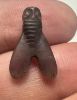 Picture of ANCIENT EGYPT . AMETHYST STONE FLY  AMULET. 1400 - 1200 B.C  NEW KINGDOM