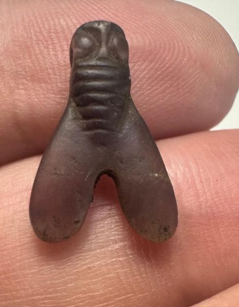 Picture of ANCIENT EGYPT . AMETHYST STONE FLY  AMULET. 1400 - 1200 B.C  NEW KINGDOM