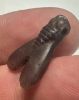 Picture of ANCIENT EGYPT . AMETHYST STONE FLY  AMULET. 1400 - 1200 B.C  NEW KINGDOM