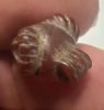 Picture of  Ancient Egypt.  LATE PERIOD. 600 - 100 B.C.  STONE  RAM'S HEAD  AMULET (KHNUM)