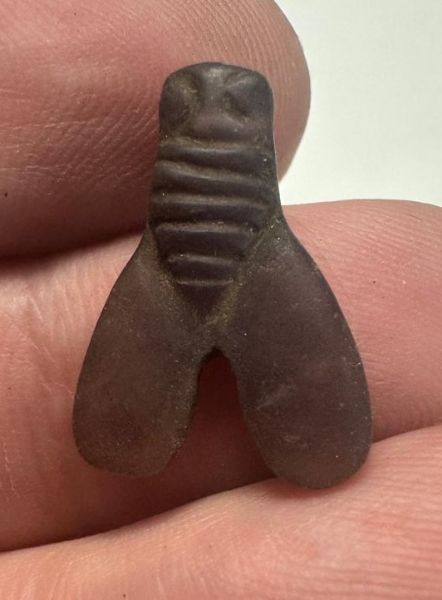 Picture of ANCIENT EGYPT . AMETHYST STONE FLY  AMULET. 1400 - 1200 B.C  NEW KINGDOM